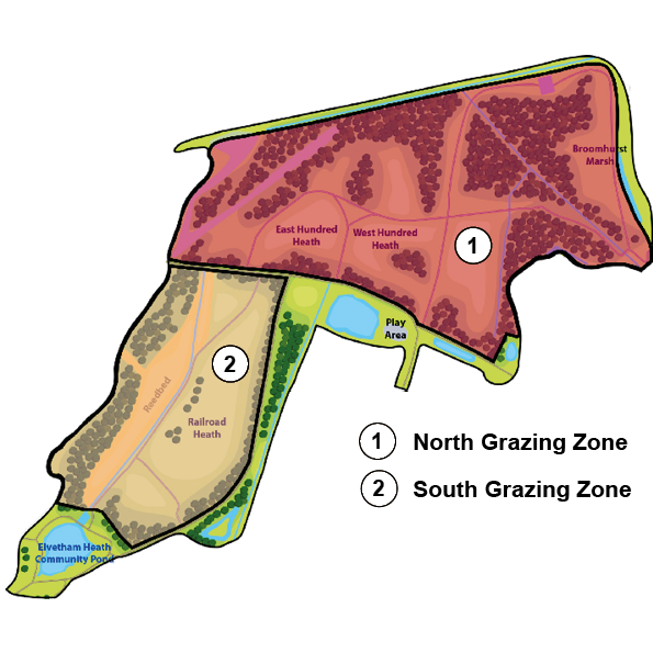 Map of elvetham heath showing south and north grazing zones