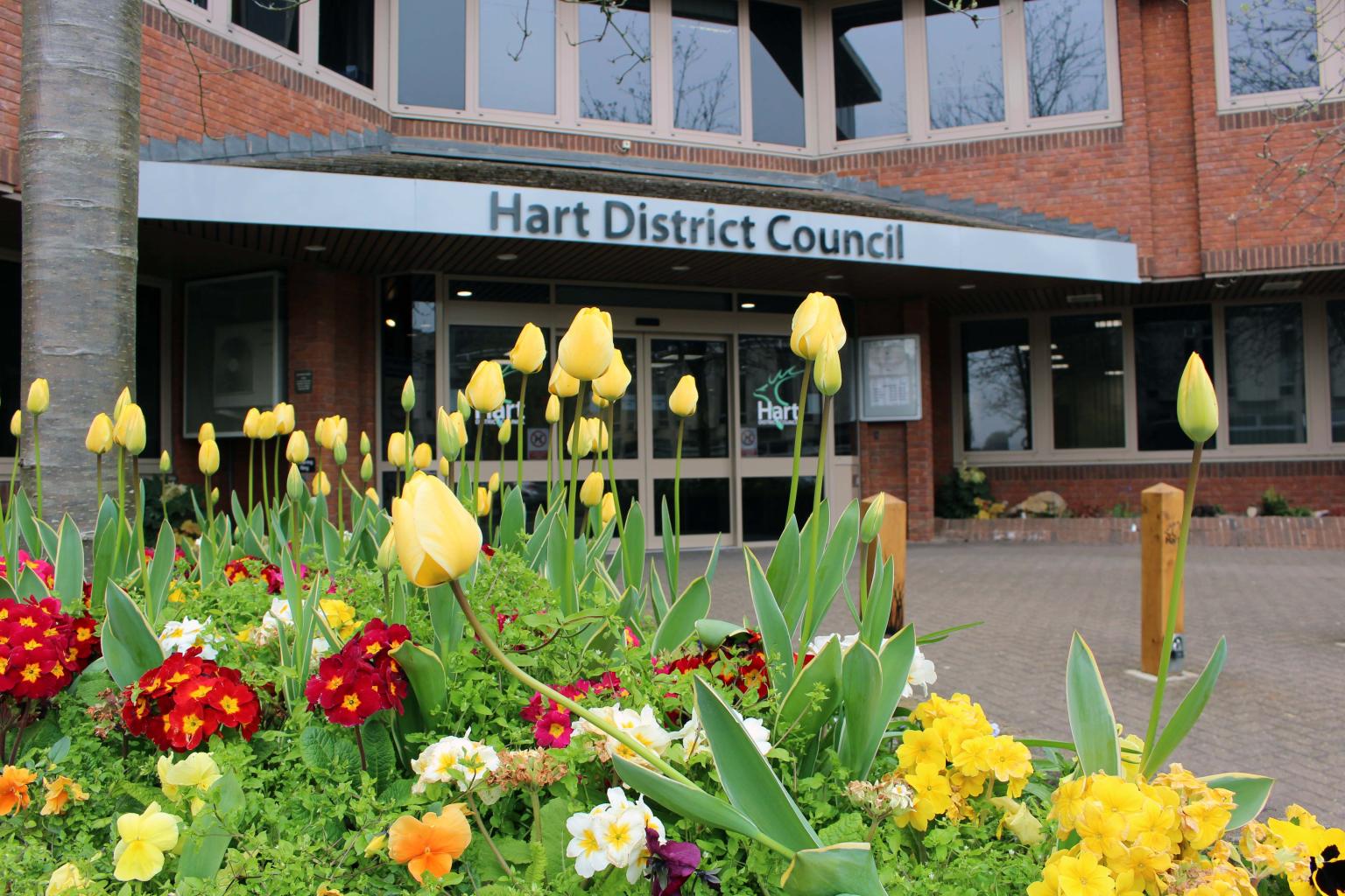 Hart offices with daffodils and tulips in foreground