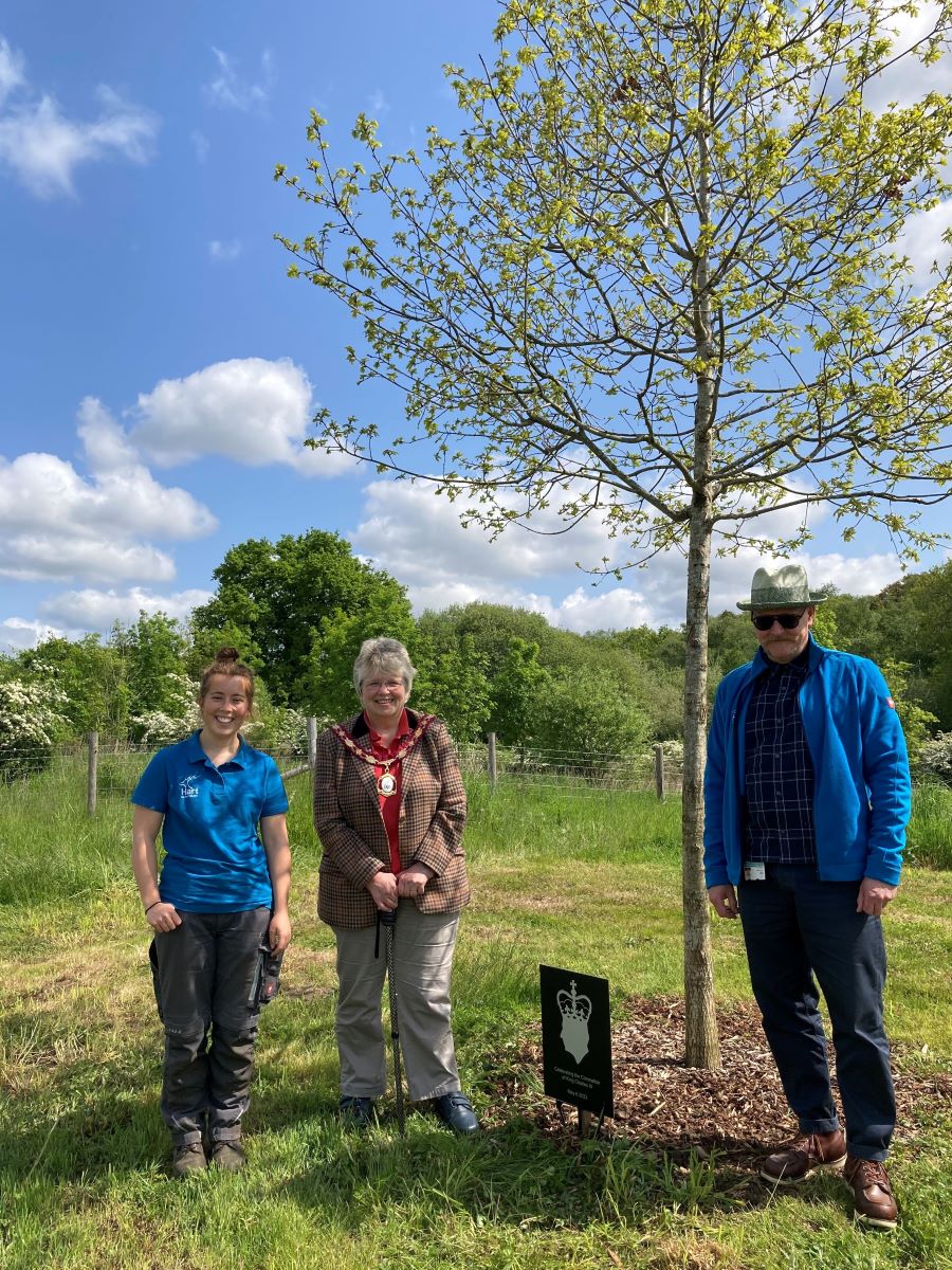 Sapling oak tree with two women and a man next to it.