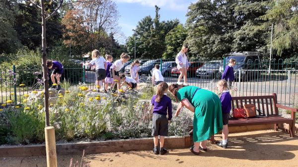 Group of school children playing in the new wildlife and wellbeing garden at a local school