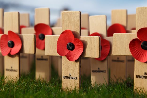 A row of wooden crosses with paper poppies in the middle of each