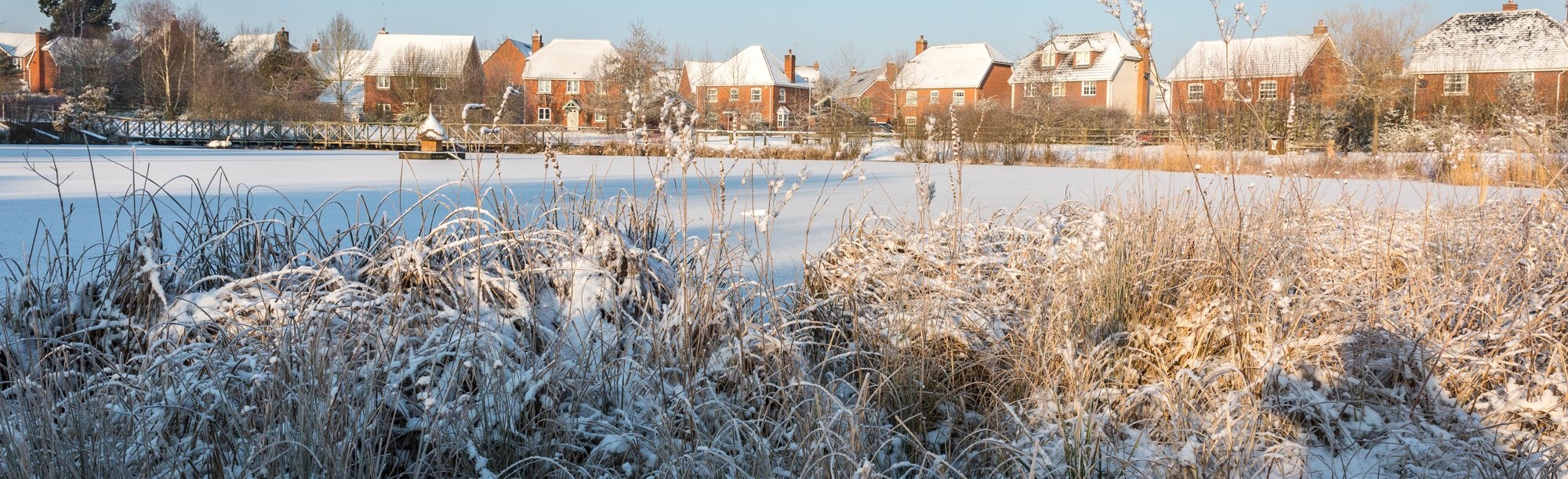 Snowy field and vegetation with houses in background