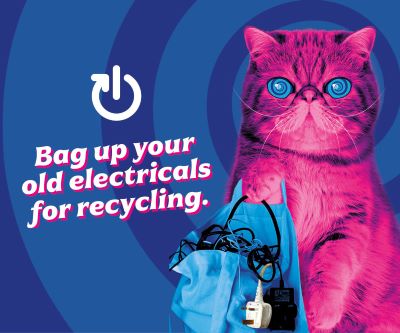 Bright pink hypnocat with blue eyes on blue background with text saying 'Bag up your old electricals for recycling'