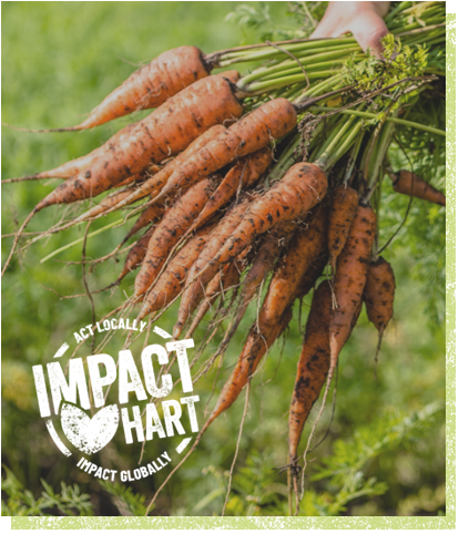 Carrots with Impact Hart logo