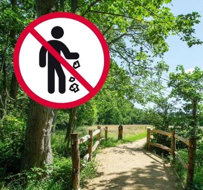 A parth leading through a wooded area with blue sky. An anti-litter sign is on top of the imagen 