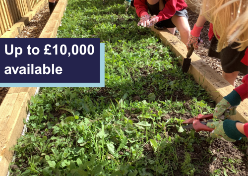 People gardening in a raised bed