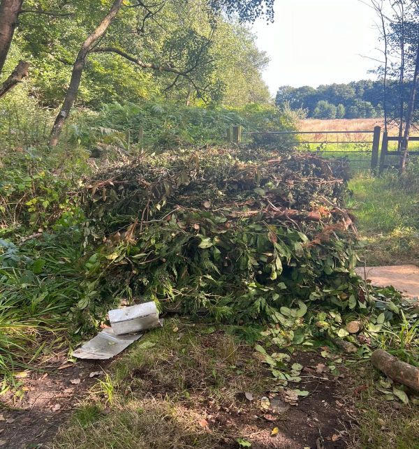 A large amount of tree branches and leaves on the side of a country lane