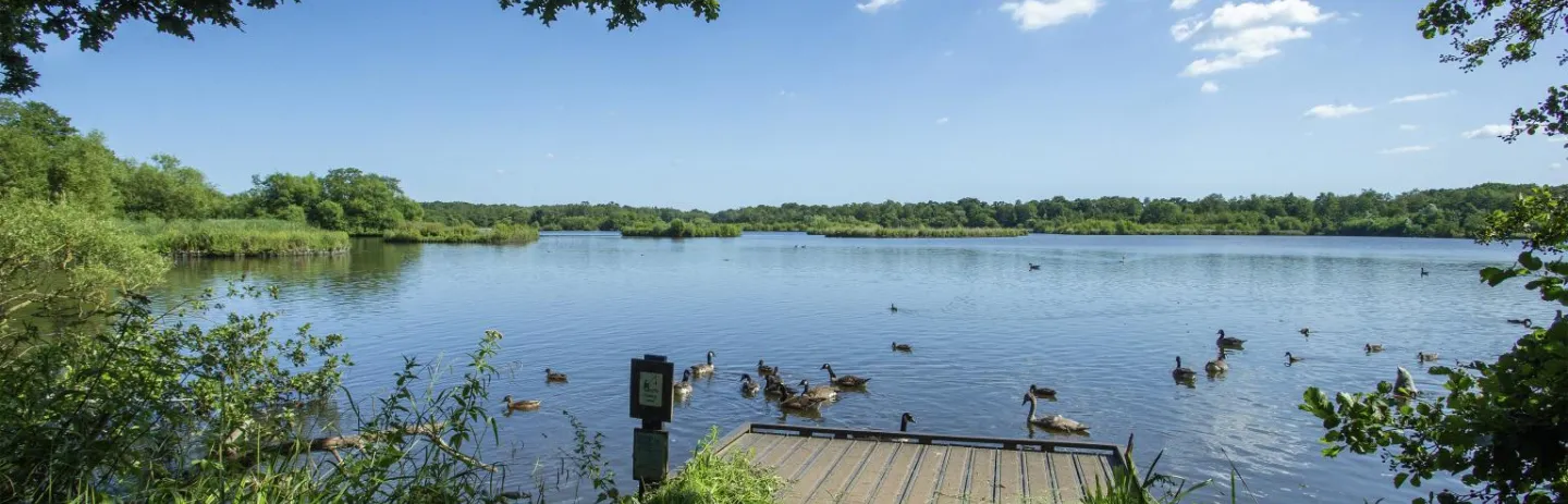 Fleet Pond, from Fleet Pond