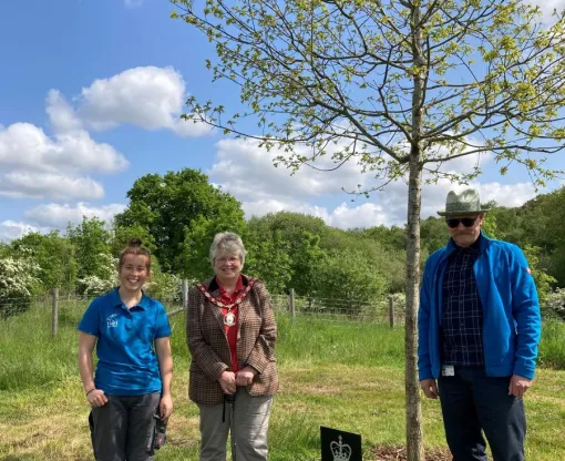 Sapling oak tree with two women and a man next to it.