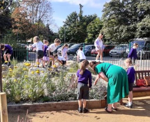 Group of school children playing in the new wildlife and wellbeing garden at a local school