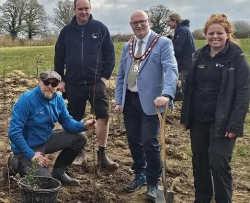Staff members plant a new tree