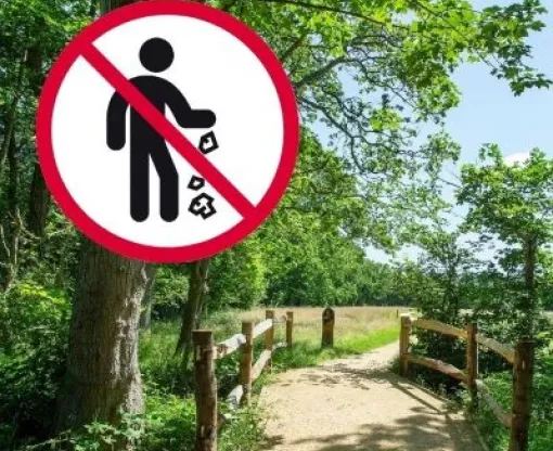 A parth leading through a wooded area with blue sky. An anti-litter sign is on top of the imagen 