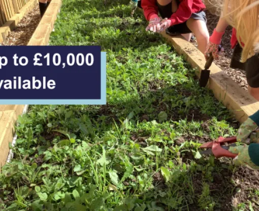 People gardening in a raised bed