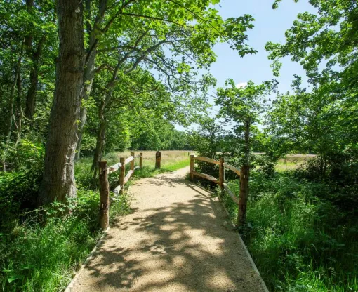Bramshot Farm Country Park