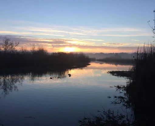 Fleet Pond on an early morning, the sun has just begun to rise and spread its reflection across the water 