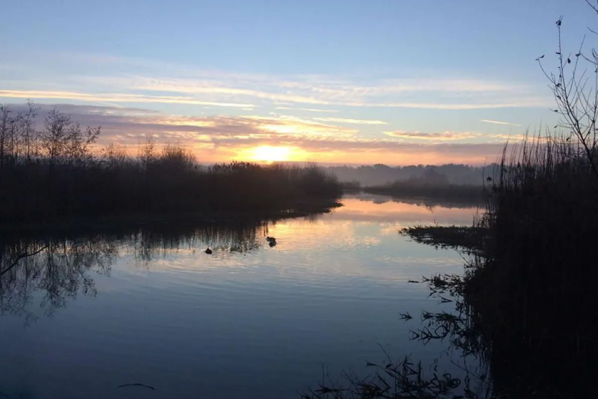 Fleet Pond on an early morning, the sun has just begun to rise and spread its reflection across the water 