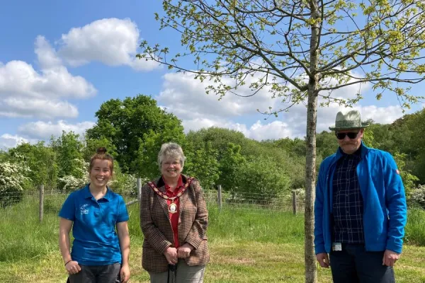 Sapling oak tree with two women and a man next to it.