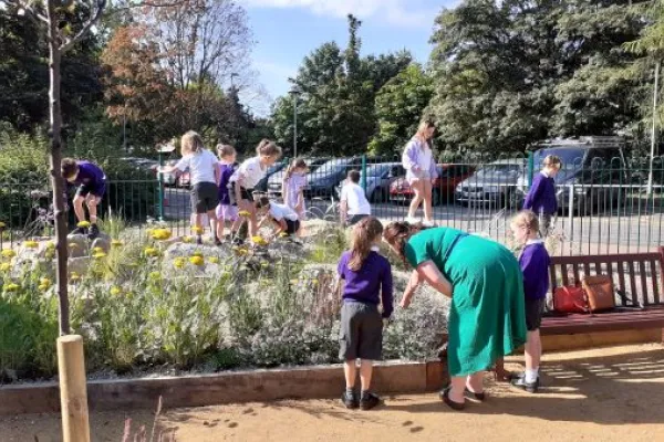 Group of school children playing in the new wildlife and wellbeing garden at a local school