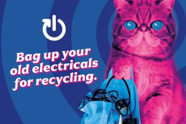 Bright pink hypnocat with blue eyes on blue background with text saying 'Bag up your old electricals for recycling'
