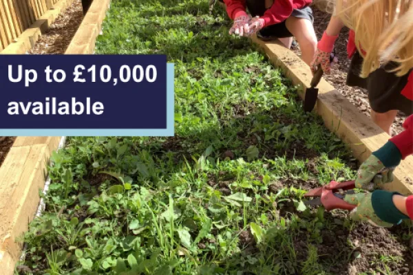 People gardening in a raised bed