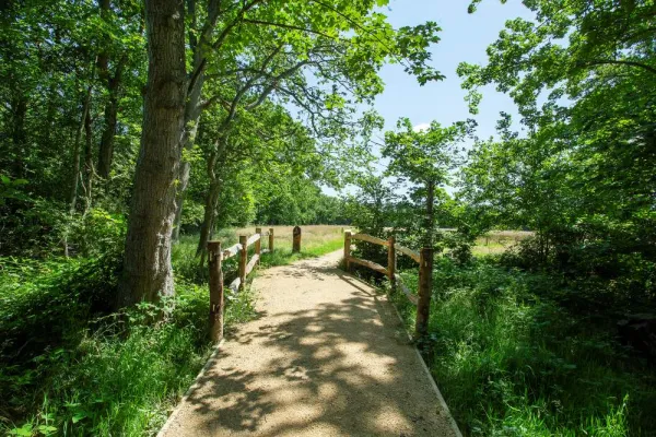 Bramshot Farm Country Park