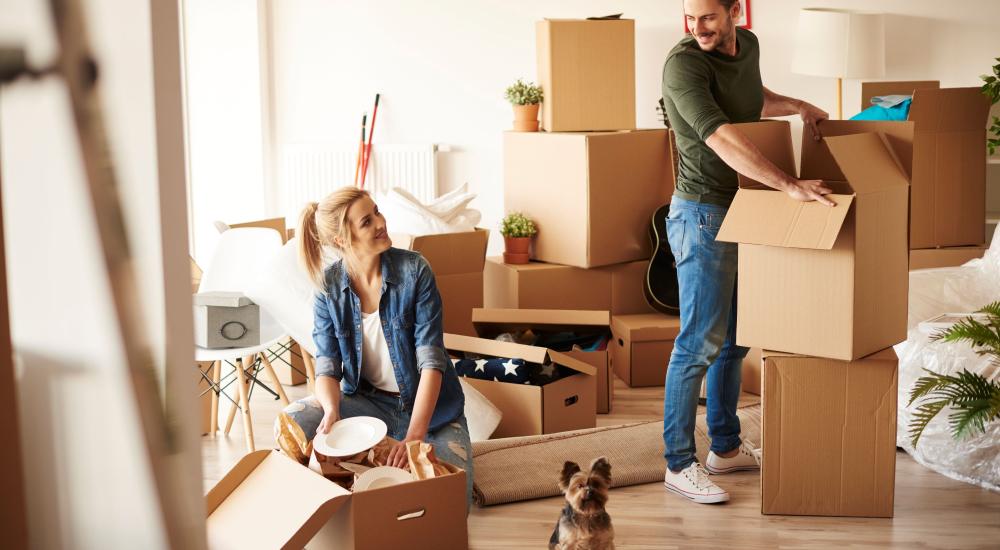 Young couple in new home surrounded by boxes and small dog