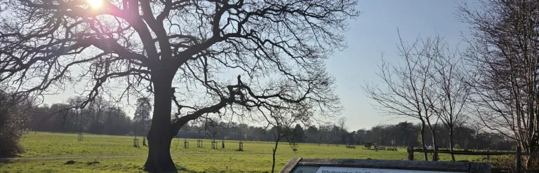A bright sun shines over a large oak tree in the centre of a field. An interpretation board is visible, displaying a map of Hawley Park Farm and Hart District Council logos