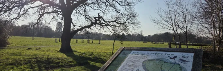 A bright sun shines over a large oak tree in the centre of a field. An interpretation board is visible, displaying a map of Hawley Park Farm and Hart District Council logos