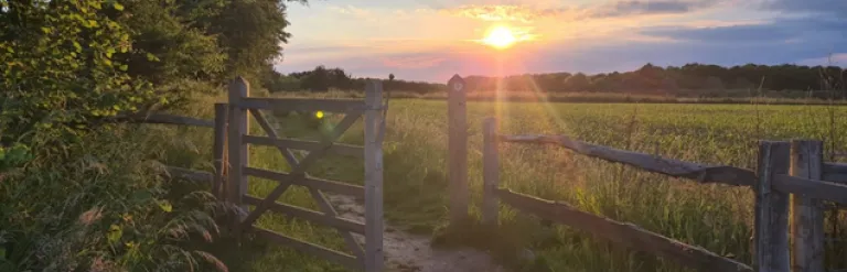 A gate leading to a green field with trees on the horizon and the sun just coming out of a cloudy sky