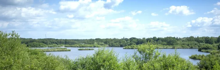 A large lake surrounded by a green trees and hedges with a blue sky and white clouds