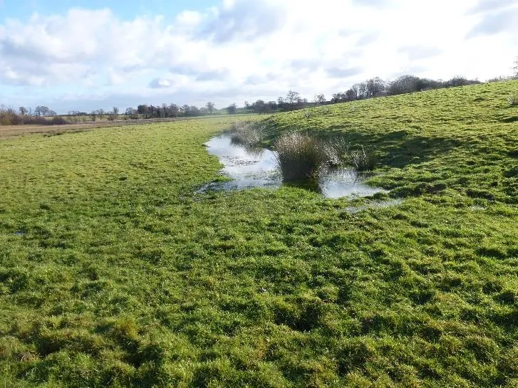 A grassy field with a pool of water in the middle (seepage pond) . Blue skies with a large cloud behind