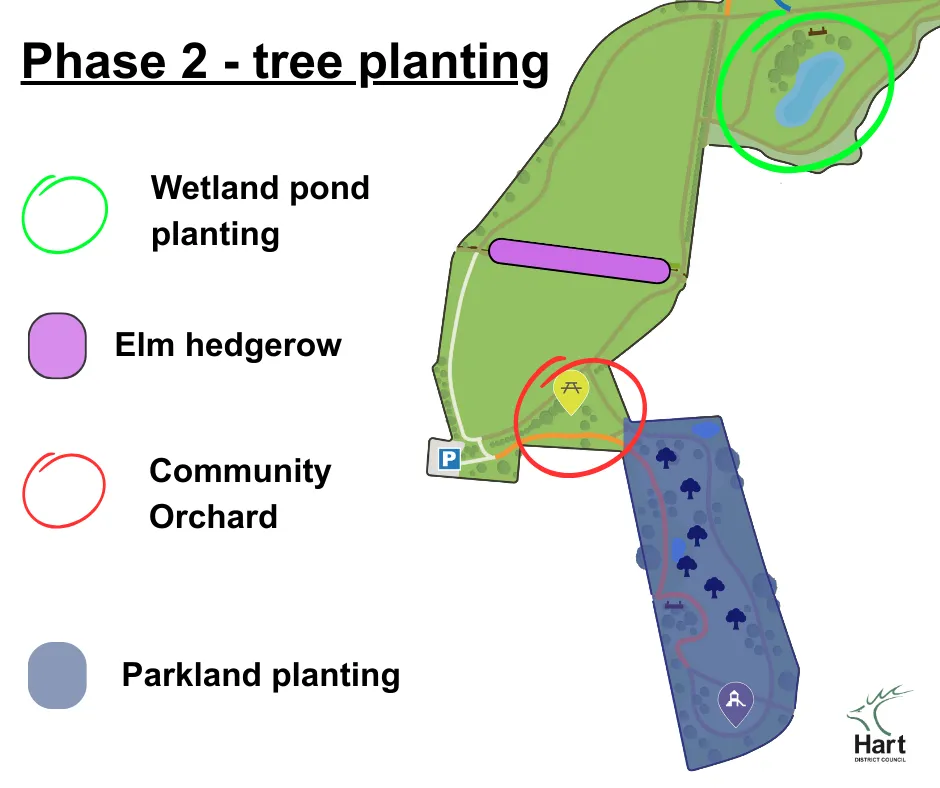 A map showing areas of Whitewater Meadows Country Park which will have trees planted. Areas include wetland pool planting, elm hedgerow, a community orchard and planting around the parkland area.