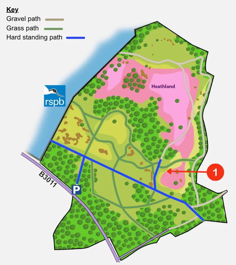 A map showing Hazeley Heath denoting path types and bench locations