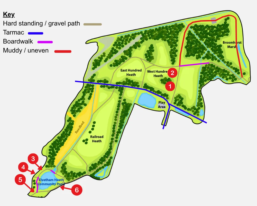 A map showing Elvetham Heath denoting path types and bench locations