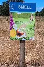 A wooden sign explaining what to do at point five. The text is mirrored on the webpage